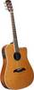 Alvarez MD60C