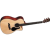 Alvarez RF20SCU elektro-akustinė gitara