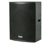 Tannoy Power V15