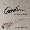 Godin stygos elektrinei gitarai